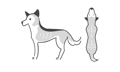 BCS1のイラスト