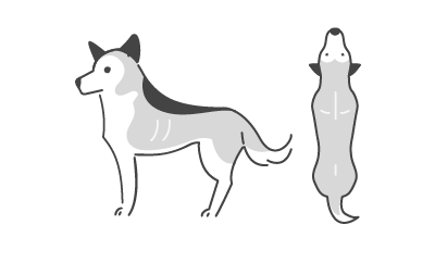 BCS2のイラスト