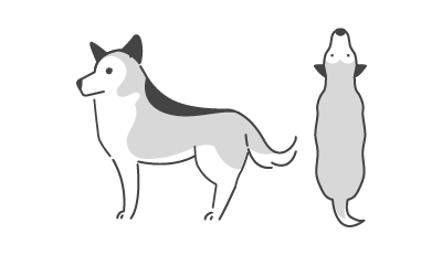 BCS4のイラスト
