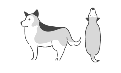 BCS5のイラスト