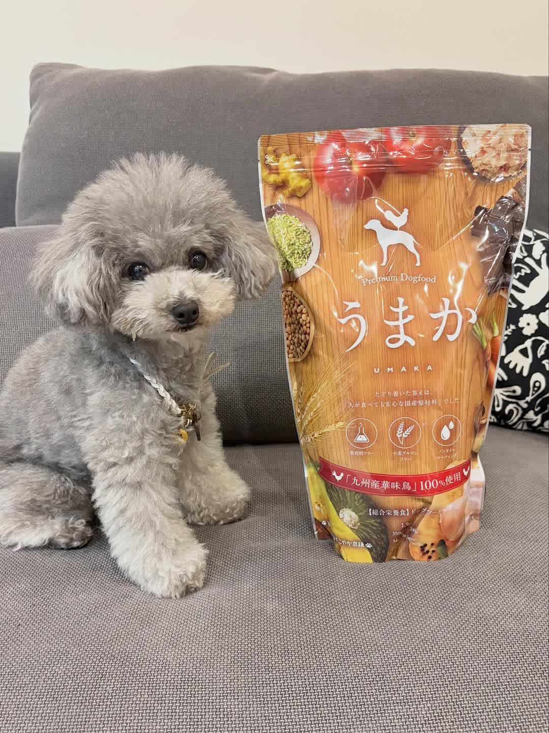 うまかとワンちゃん