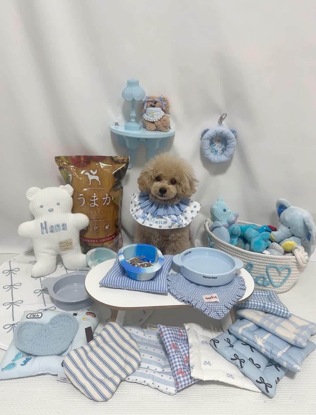 うまかとワンちゃん