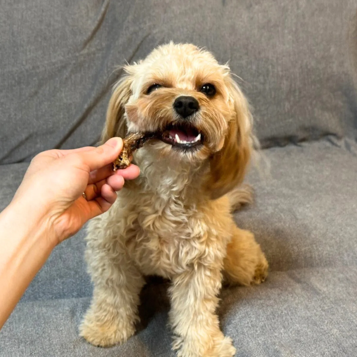 鶏ネック イメージ2