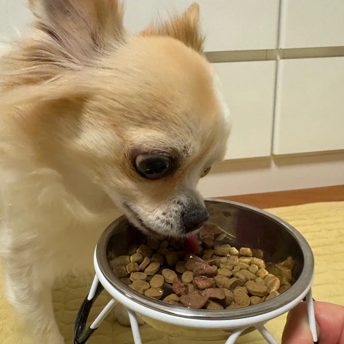 レバーやわらか煮 サブ画像3