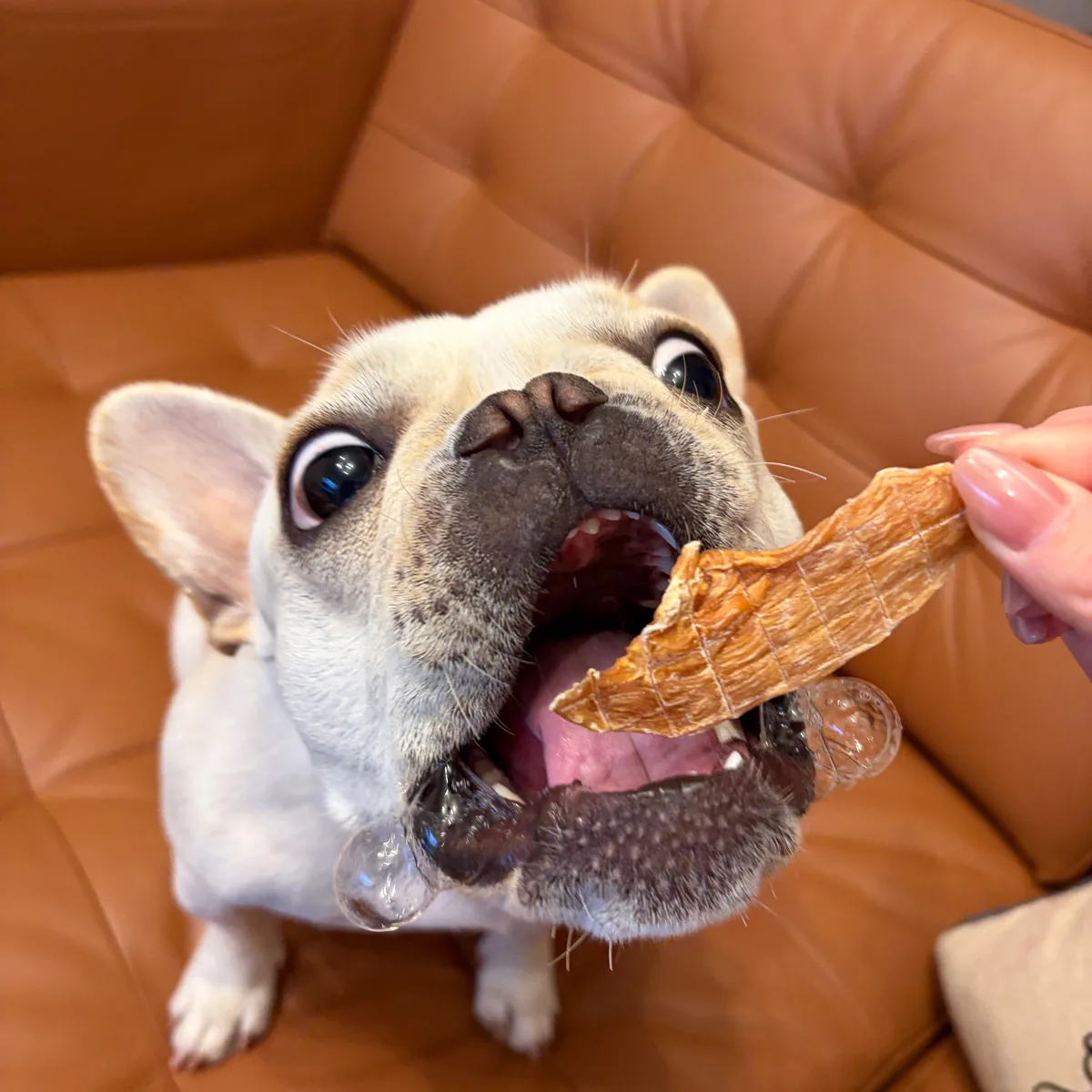 むね肉の細切り イメージ1