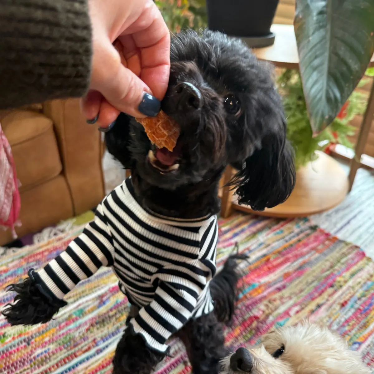 むね肉の細切り イメージ2