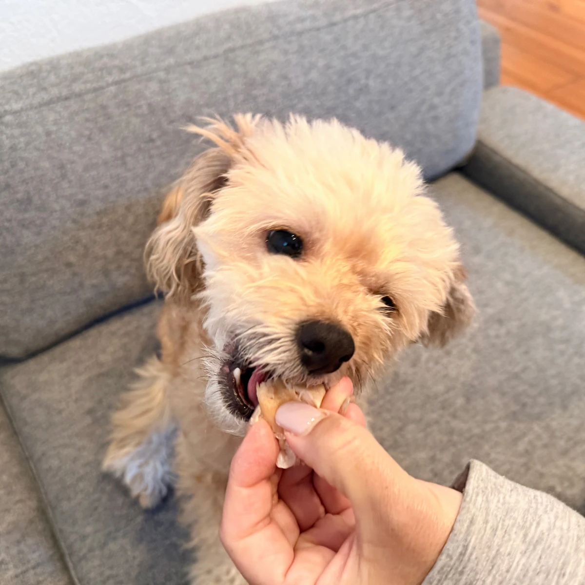 ささみやわらか煮 サブ画像3