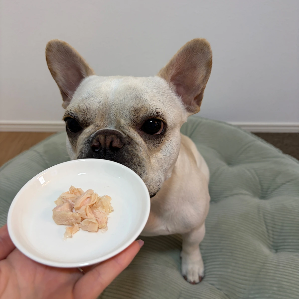 ささみやわらか煮 イメージ3