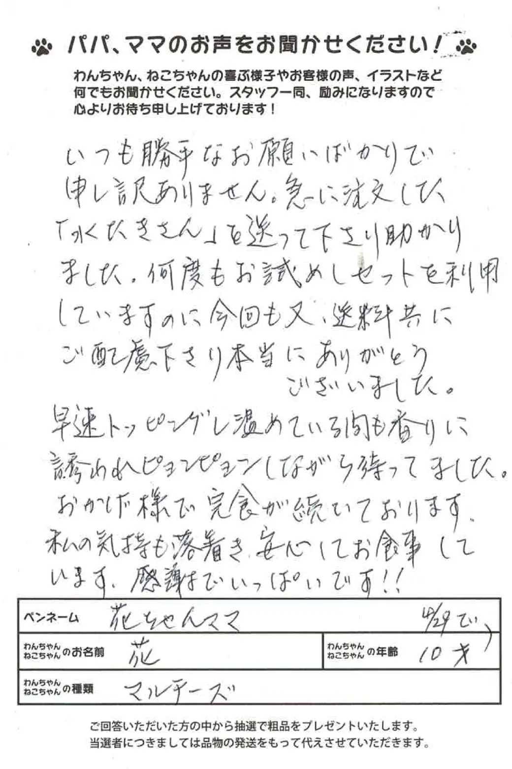 ハガキ2