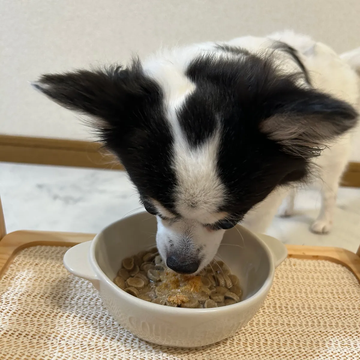 ささみふりかけ イメージ2