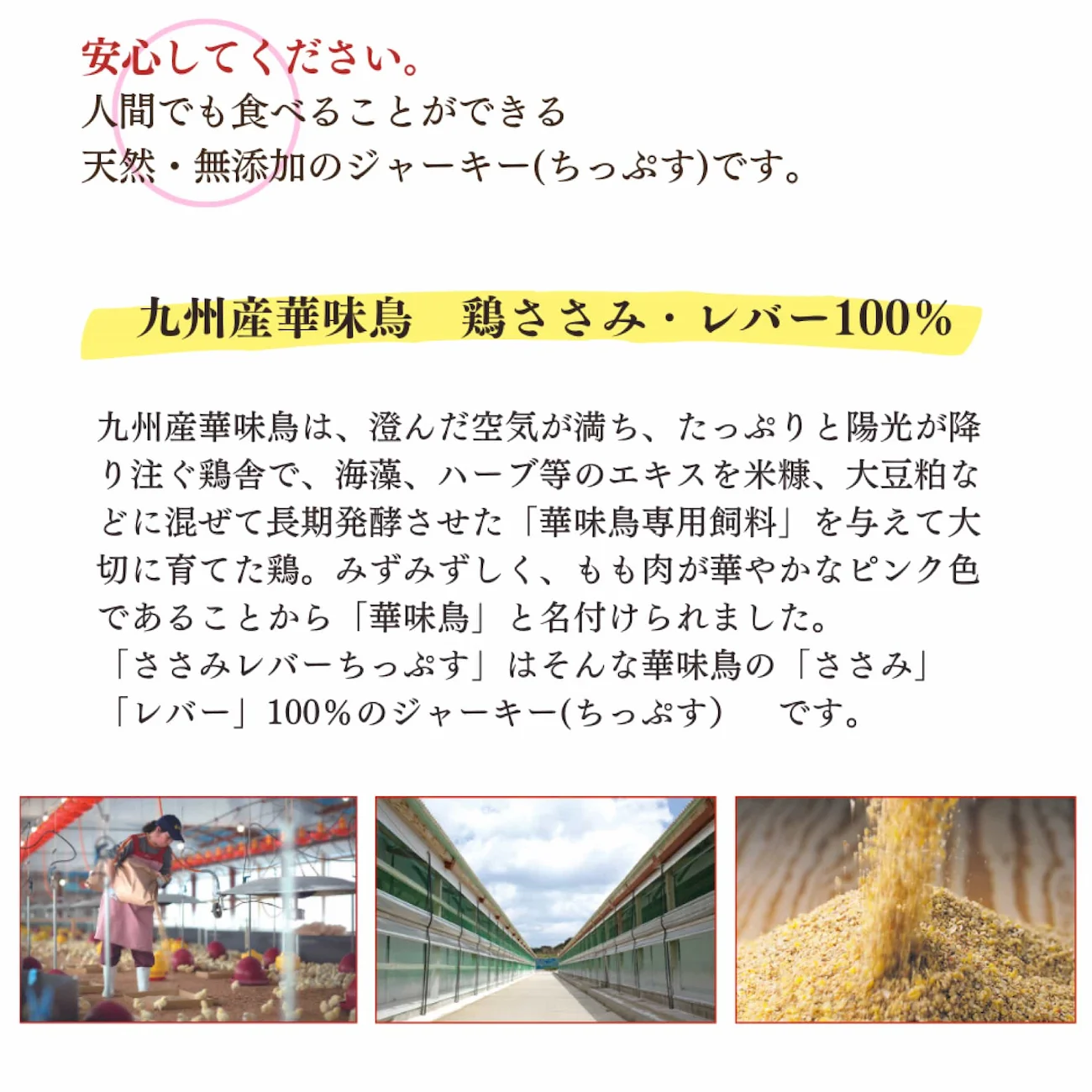 ささみレバーちっぷす サブ画像3