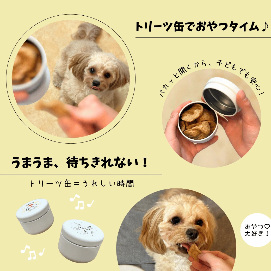 オリジナル トリーツ缶（カラー）