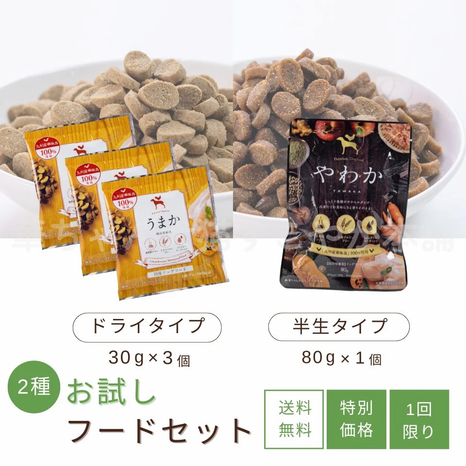 ドッグフードやわかの特徴1