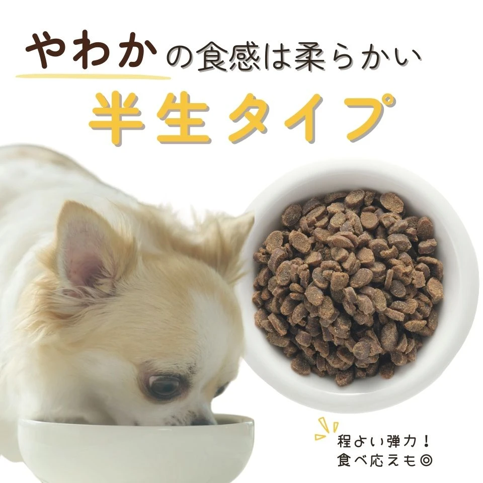 ドッグフードやわかの特徴10