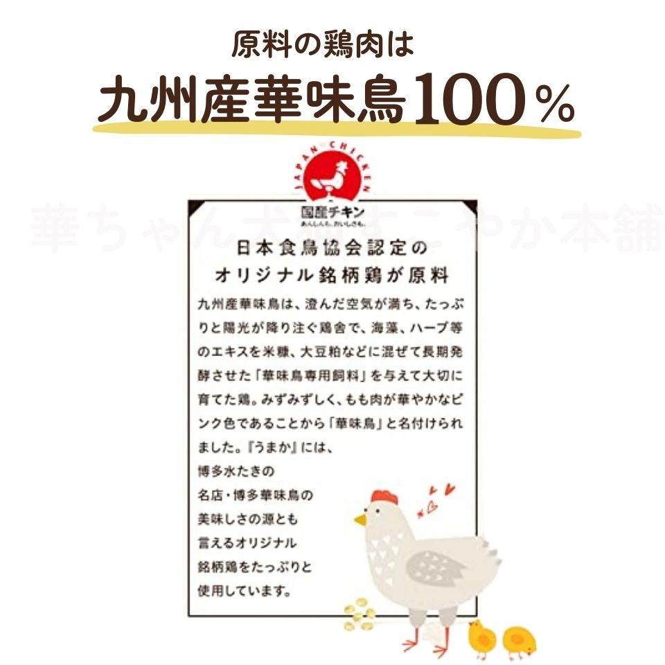 ドッグフードやわかの特徴5