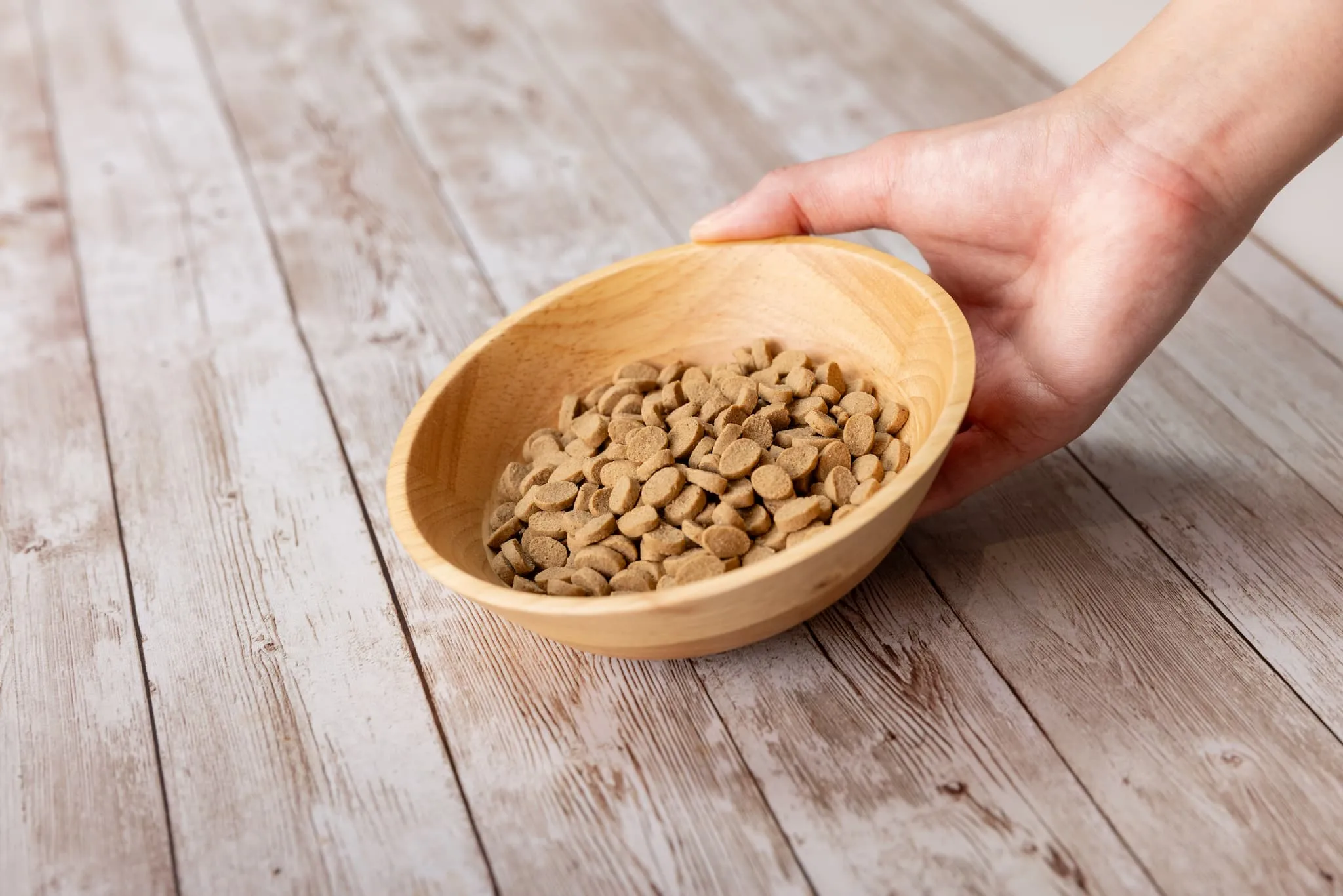 ドッグフードうまか（300g）  サブ画像3