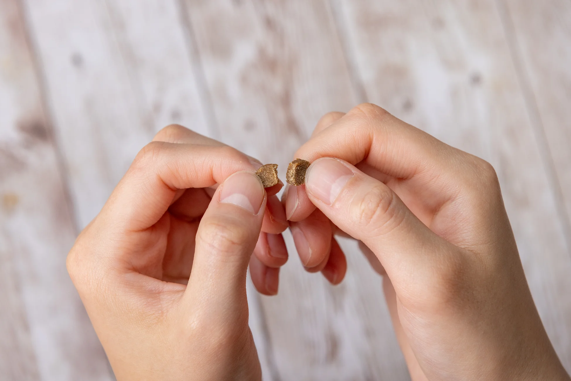 ドッグフードやわか（80g）  サブ画像2