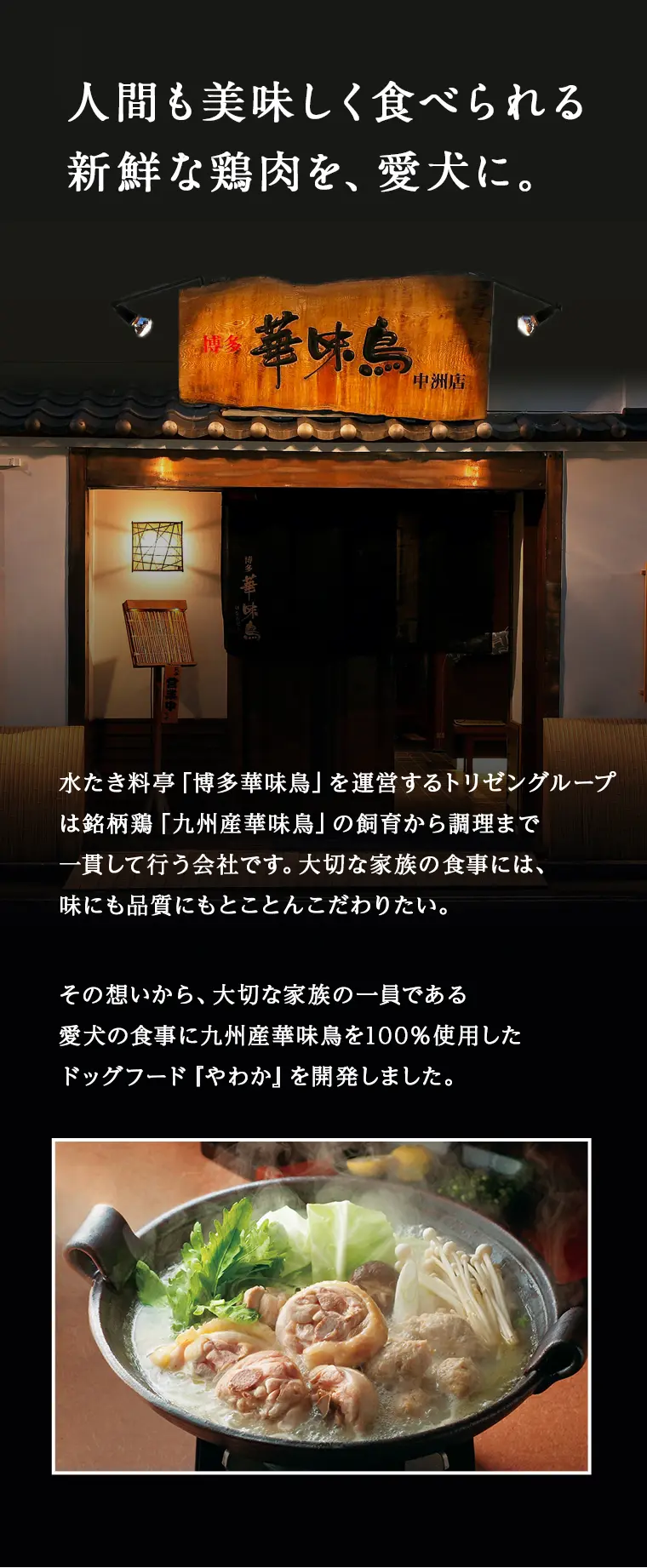 ドッグフードやわかの特徴7