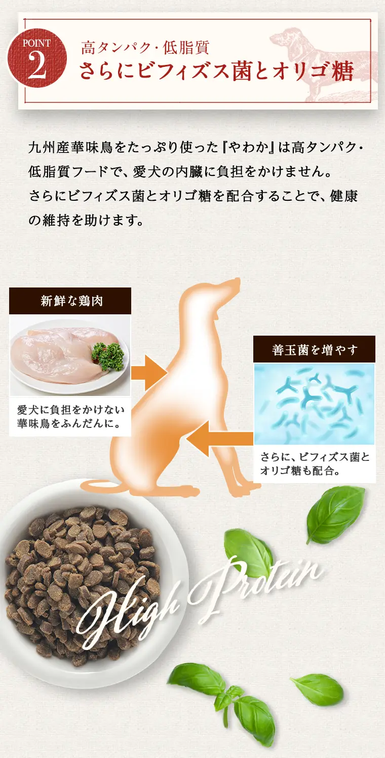 ドッグフードやわかの特徴10