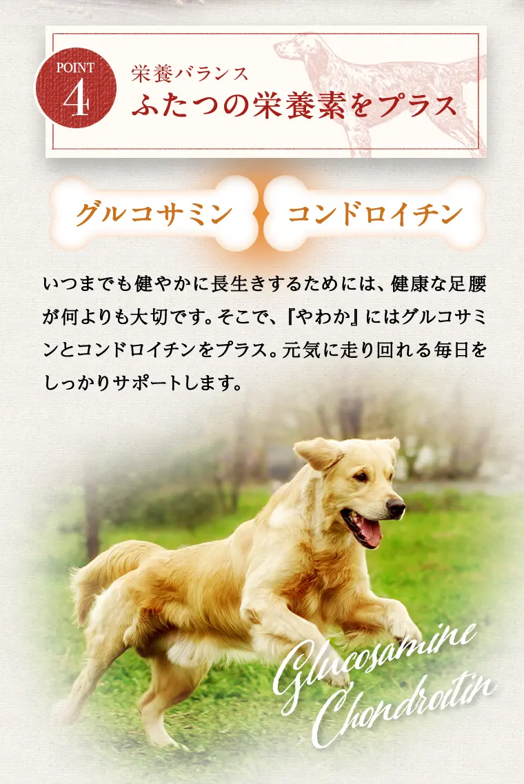 ドッグフードやわかの特徴12