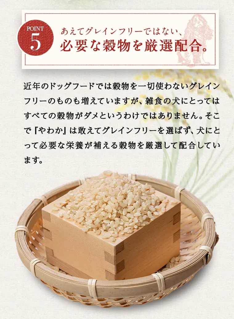 ドッグフードやわかの特徴13