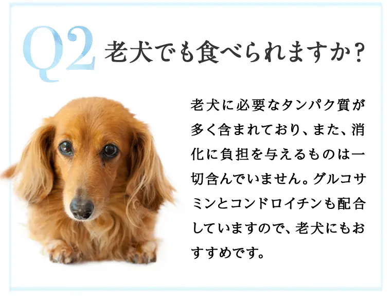 ドッグフードやわかの特徴17