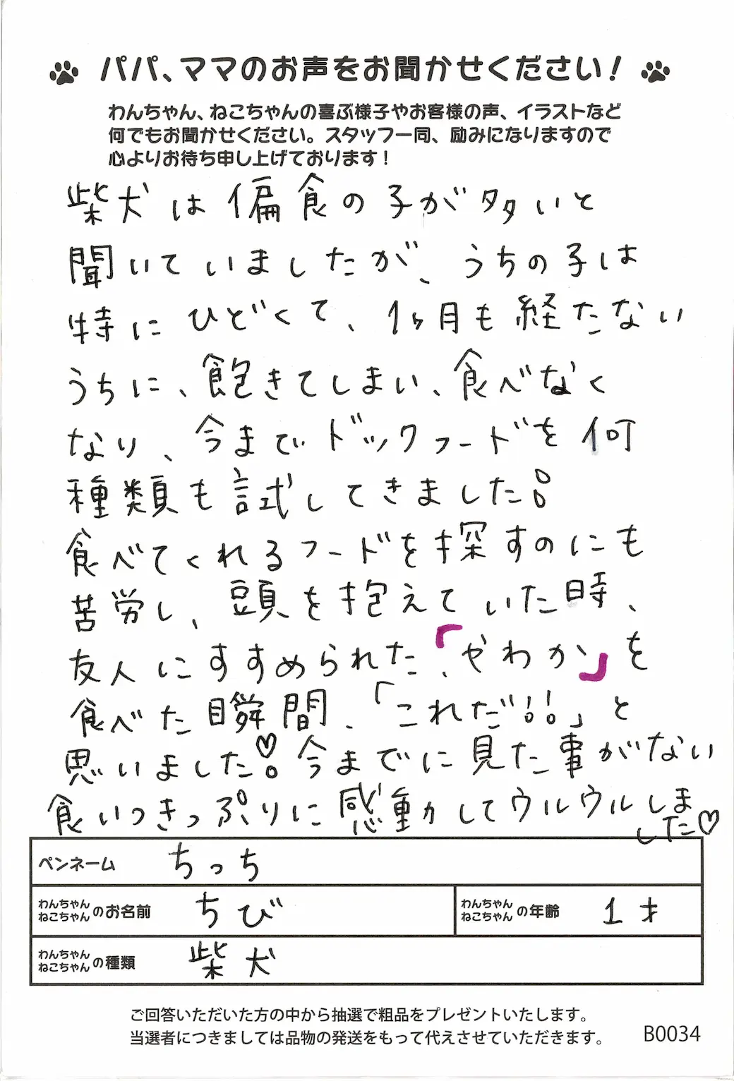 ハガキ2
