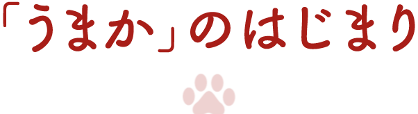 「うまか」のはじまり