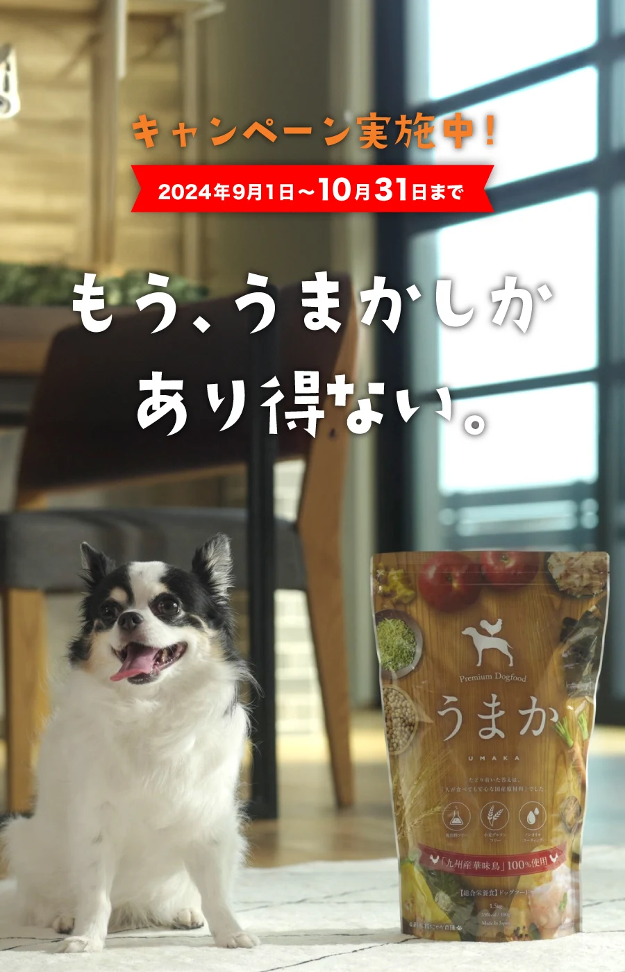 華ちゃん犬猫すこやか本舗