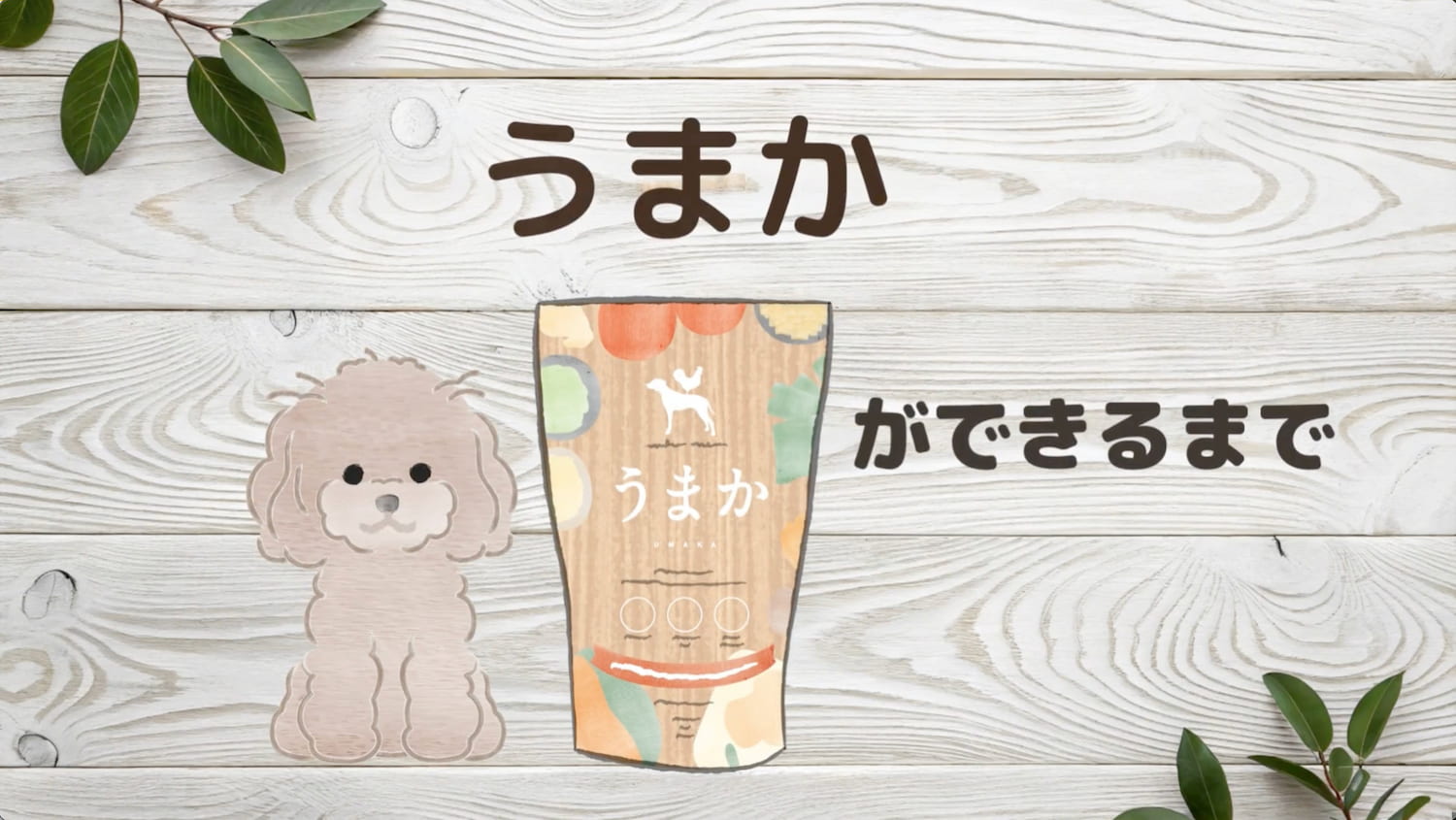 華ちゃん犬猫すこやか本舗