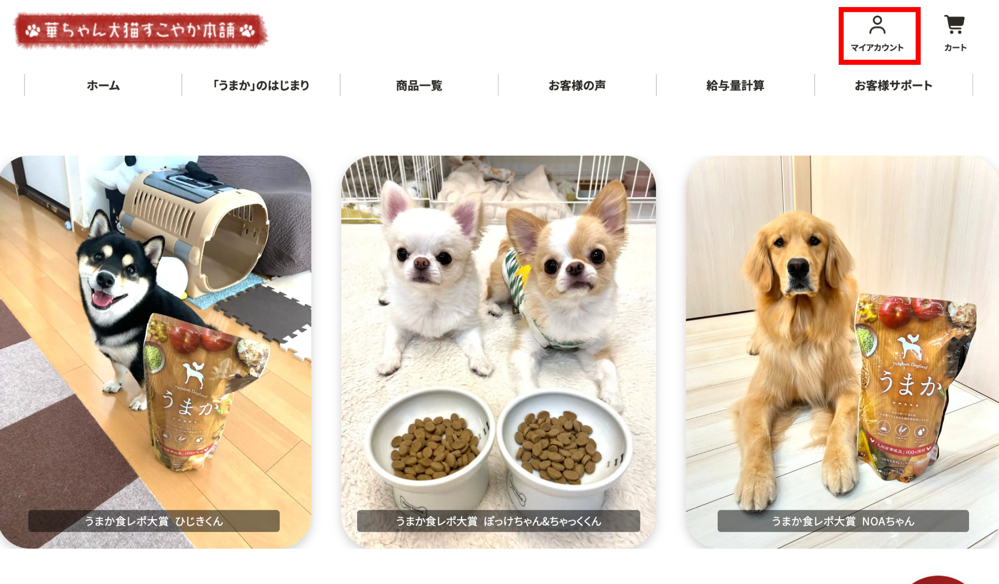 マイアカウントへ進む