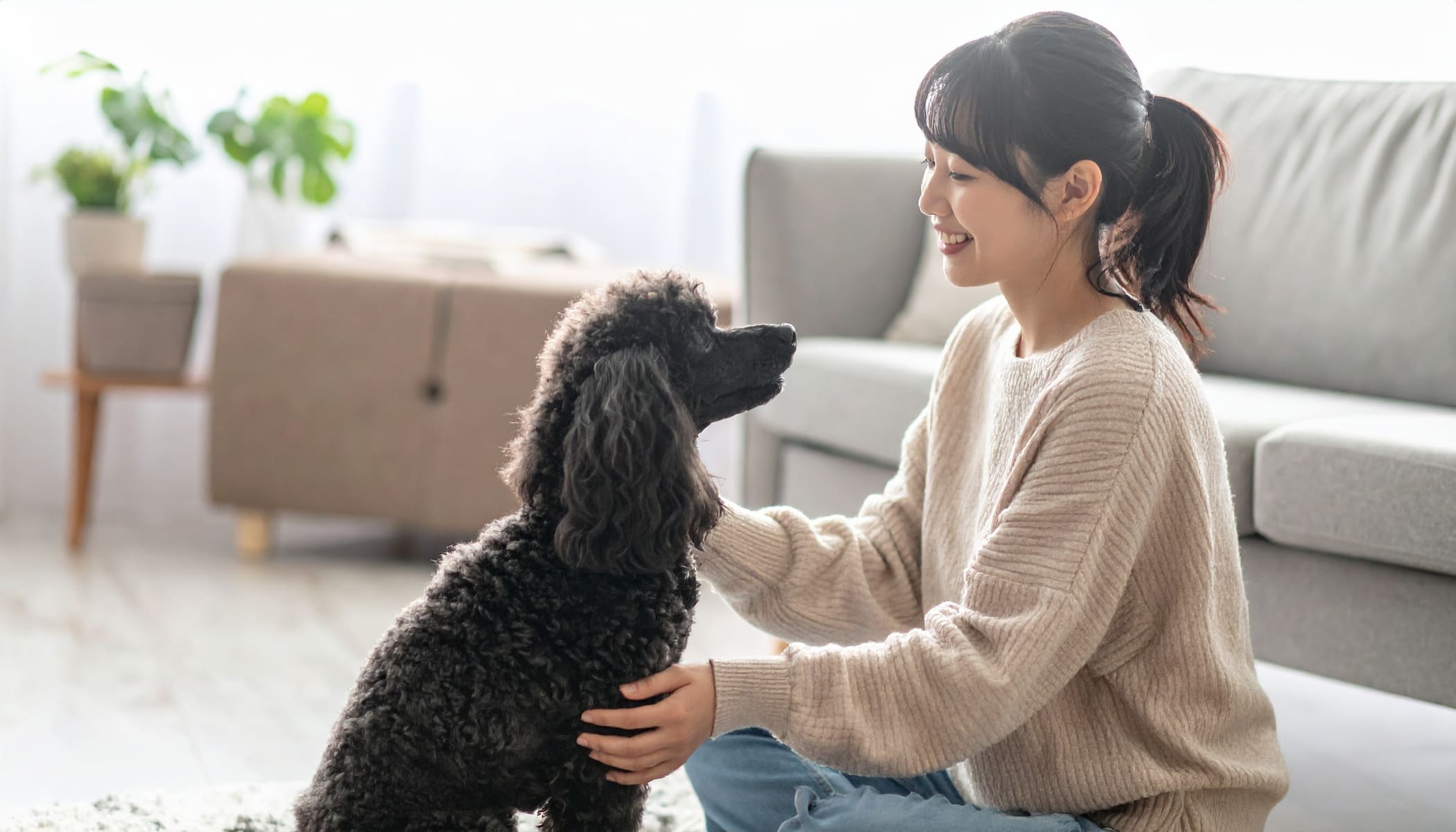愛犬と暮らすイメージ