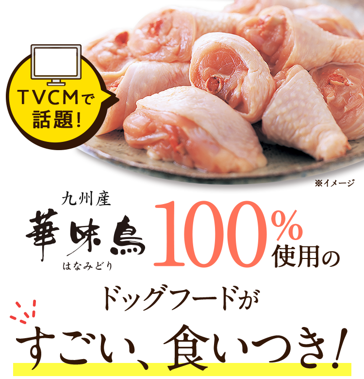 TVCMで 話題! 博多 華味鳥 100%使用のドッグフードがすごい、食いつき!