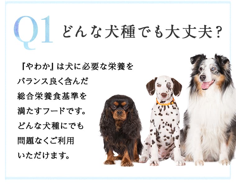 Q1 どんな犬種でも大丈夫？